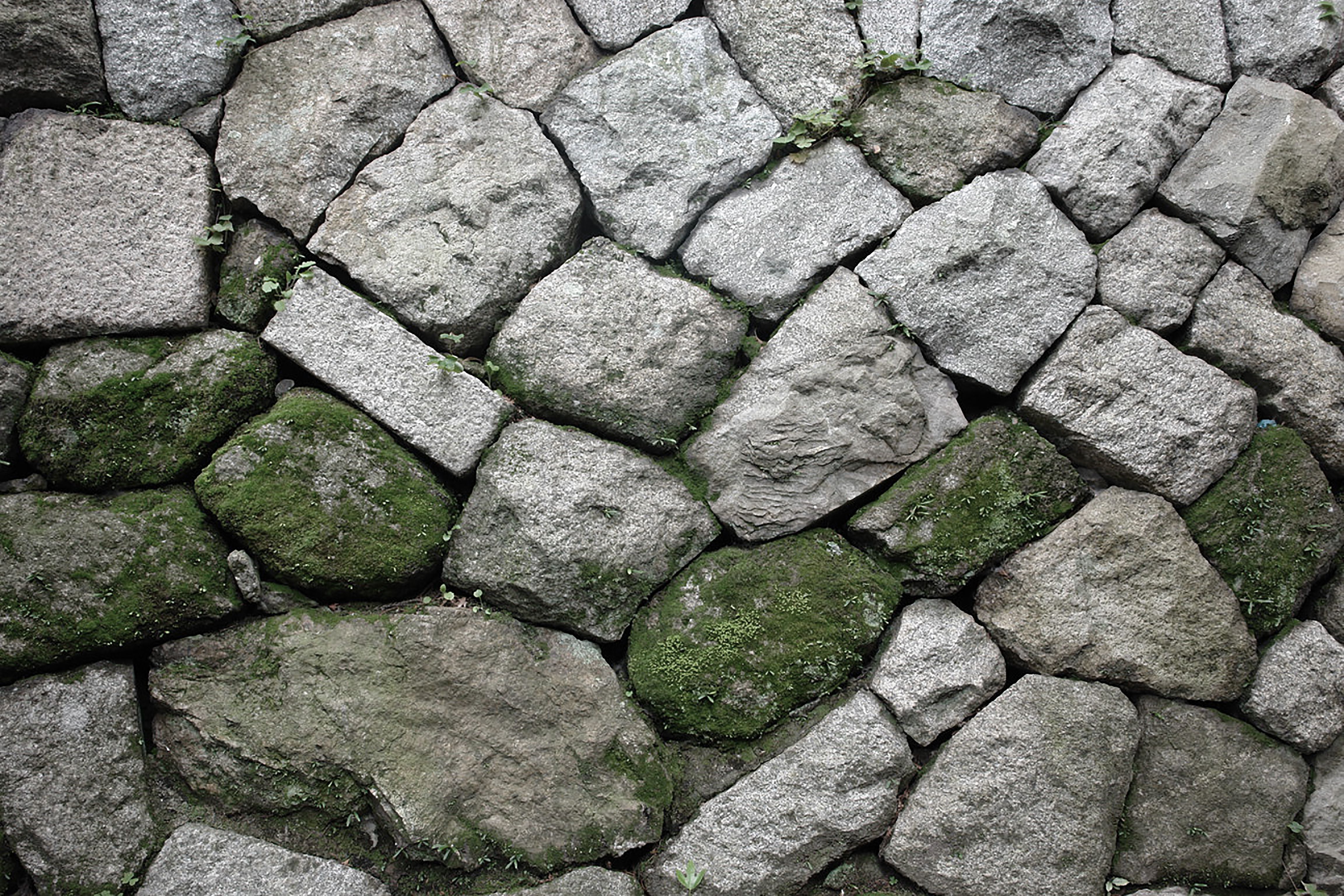 Morioka Castle Ruins Park: 35 Years in the Making, Built for the Nanbu Clan