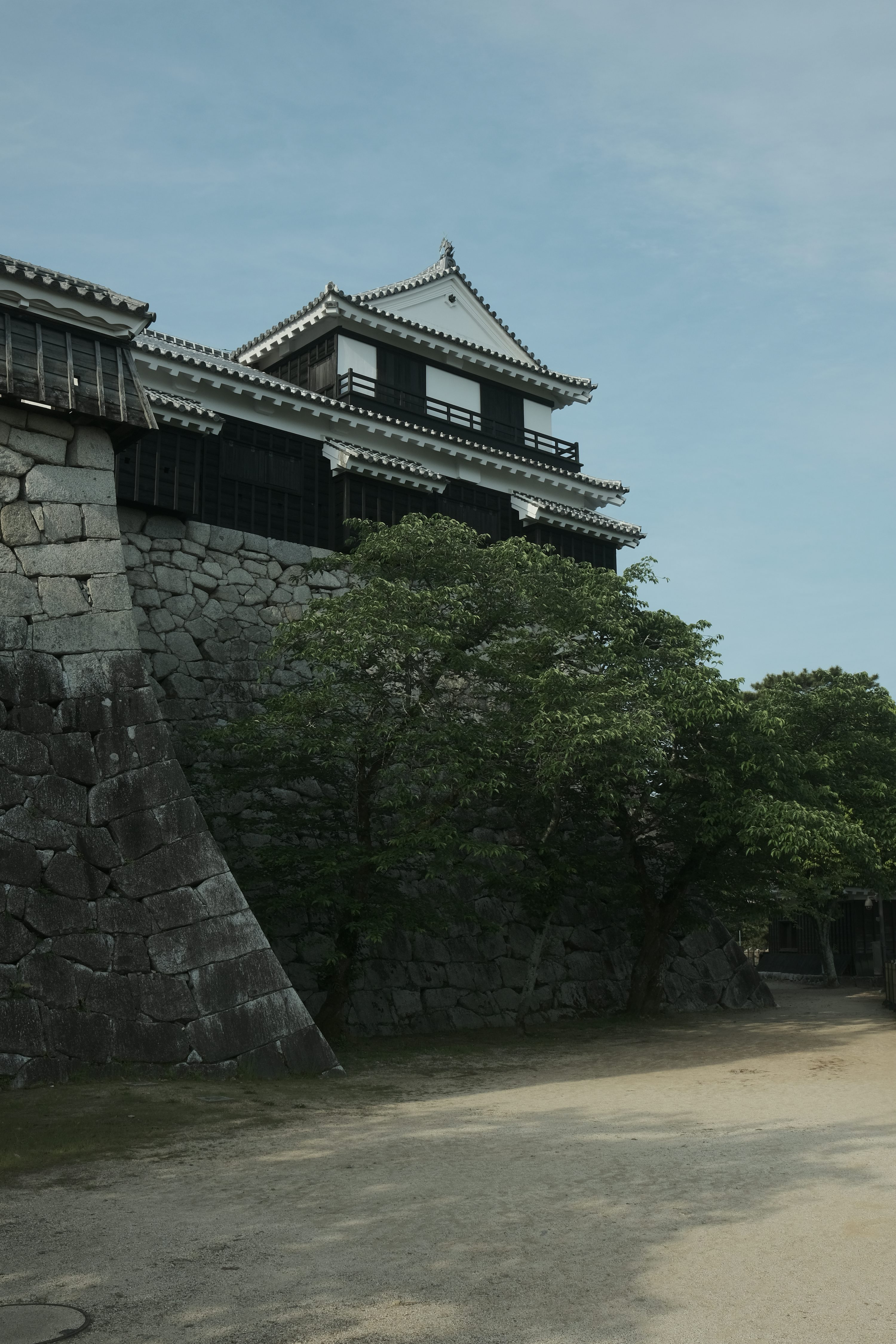 Oshi Castle: The “Floating Castle” That Survived Toyotomi Hideyoshi’s Flood Attack